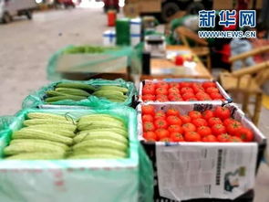 每天供应约7000吨新鲜蔬菜 简阳325亩农产品交易中心投入试运营
