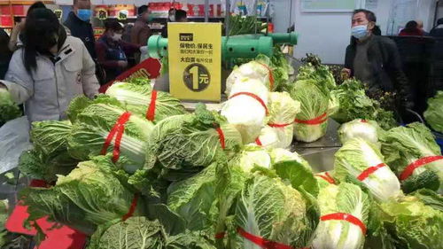 便利店 加油站开卖蔬菜 这些商超全国直采滞销农产品保供应
