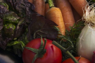 番茄,生菜,胡萝卜,蔬菜,新鲜,健康,食品